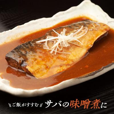 ふるさと納税 宮古市 国産 天然 塩鯖 フィレ 骨取り 三陸の恵み 冷凍 1kg 500g×2袋 岩手県宮古市 |  | 02