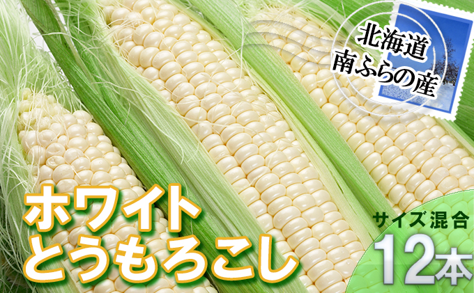 南ふらの産 朝採り とうもろこし (ホワイト)【サイズ混合】12本 北海道 南富良野町 とうもろこし 野菜 とうきび トウキビ トウモロコシ 2024年発送 先行予約