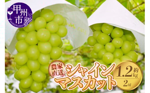 さんちゃんファームのシャインマスカット2房 約1.2kg【2025年発送】B-152 【シャインマスカット 葡萄 ぶどう ブドウ 令和7年発送 期間限定 山梨県産 甲州市 フルーツ 果物】