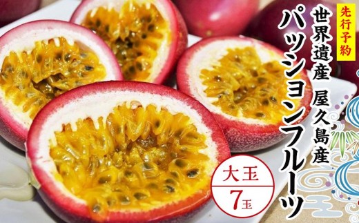 【2026年発送先行受付】絶品パッションフルーツ大玉（7玉）“屋久島の恵み”と“愛情”込めて！