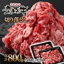 【ふるさと納税】宮崎和牛「齋藤牛」切り落とし800g（400g×2パック）国産 牛肉 小分け 訳あり＜1.2-61＞