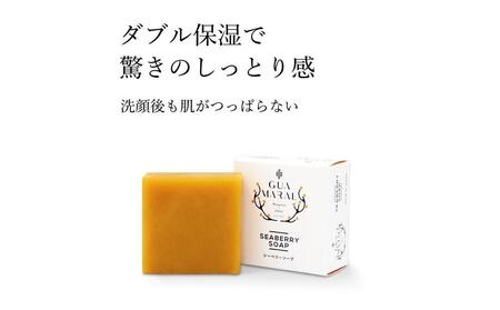 グアマラルシーベリーソープ 100g 1個セット  サジー石鹸