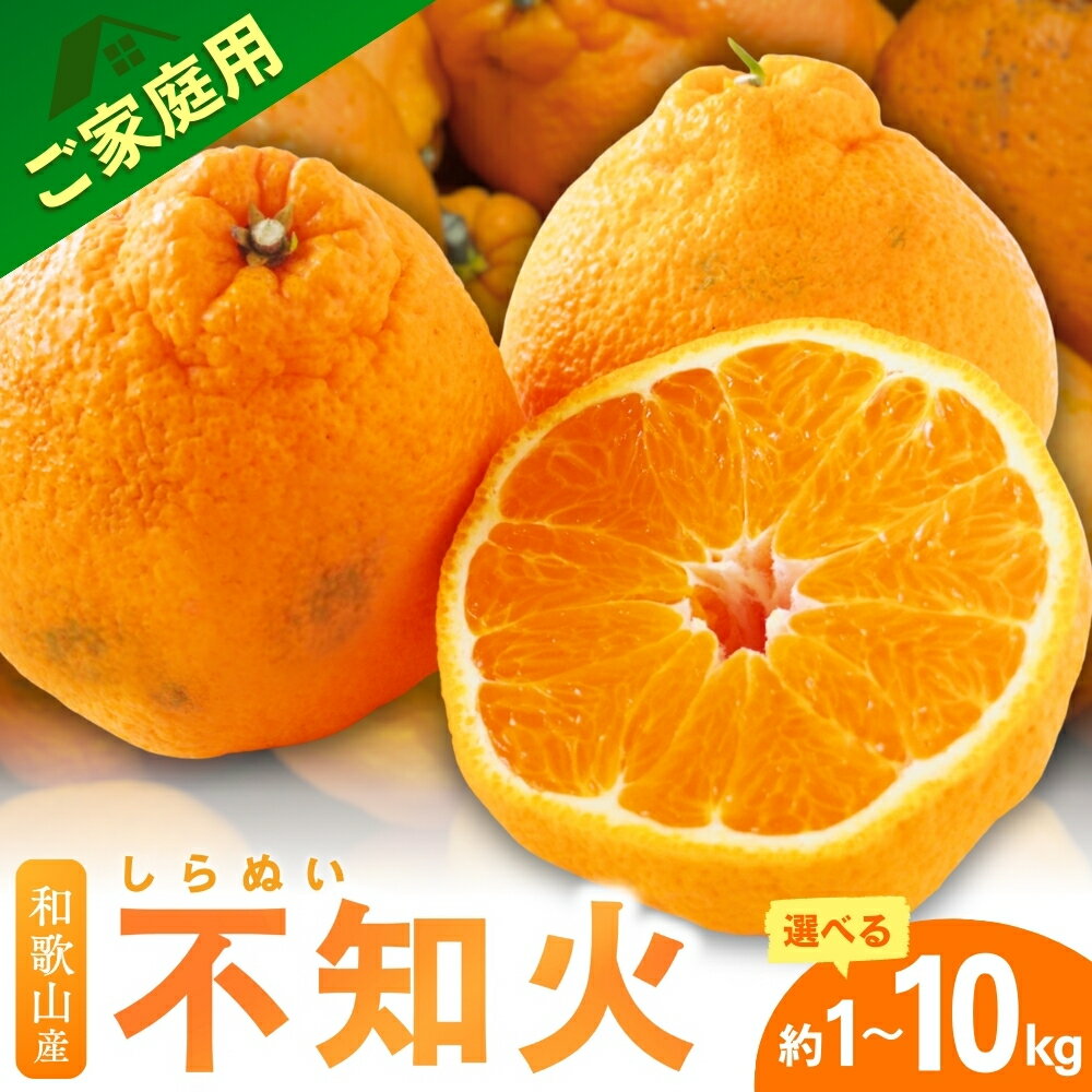 【ふるさと納税】【先行予約】 3/20迄受付 訳ありみかん 不知火 デコポン ファミリー層 高評価 ★★★ 訳あり 2026年2月～順次発送予定【選べる内容量】1kg 2.5kg 5kg 7.5kg 10kg 【デコポンと同品種】 / しらぬい みかん ミカン 柑橘 果物 くだもの フルーツ オレンジ