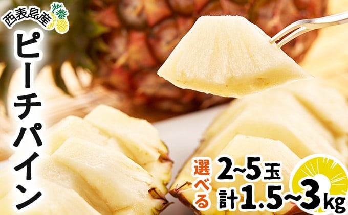 
            ＜選べる容量＞2026年 先行予約 ピーチパイン 約1.5kg〜3kg 2~5玉 ★西表島ふる～つらんど★不動の人気No.1 甘熟 果物 フルーツ パイン
          