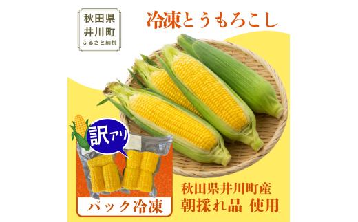 とうもろこし 冷凍 5kg 茹でとうもろこし 訳あり 秋田県産 井川町産  トウモロコシ