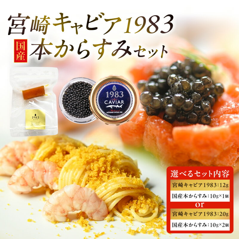 【ふるさと納税】【選べるセット内容】宮崎キャビア1983＆国産本からすみセット キャビア 魚卵 卵 高級珍味 珍味 水産物 からすみ 本からすみ おつまみ 詰め合わせ 食べ比べ 贈答 贈り物 ギフト プレゼント ご褒美 お中元 お歳暮 お取り寄せ グルメ 人気 おすすめ 宮崎市