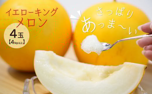 【2025年発送】完熟！イエローキングメロン 4kg以上（4玉入り） フルーツ 果物 甘い　H141-018