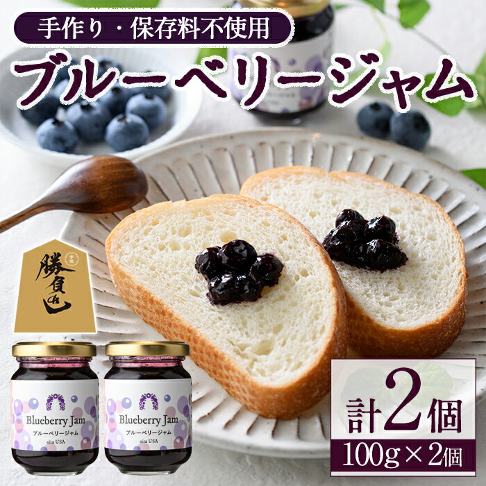 【ふるさと納税】ブルーベリージャム(計200g・100g×2個) ジャム フルーツ ブルーベリー 勝負めし 【116500100】【藍苺GARDEN イロハノホトリ】