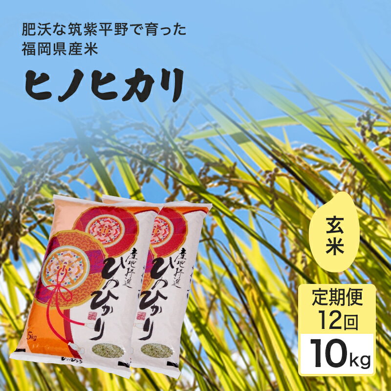【ふるさと納税】令和7年度 定期便 12回 米 1粒からこだわる 1等級米 ヒノヒカリ 玄米10kg お米 コメ お楽しみ 12ヶ月 令和7年度産