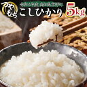 【ふるさと納税】令和6年産コシヒカリ5kg【S137】東洋町産 国産 米 白米 精米 コメ こめ もっちり 四国 お取り寄せ 家庭用 自宅用 贈り物 ギフト送料無料