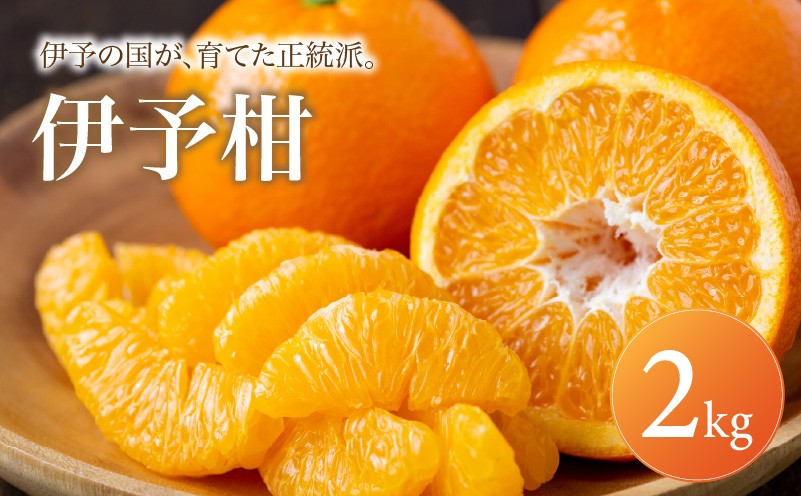 
                  伊予柑 家庭用 2kg 【2027年1月上旬頃から順次発送】 | みかん ミカン mikan みかん 蜜柑 訳ありフルーツ 柑橘 果物 おすすめ お勧め お取り寄せ ギフト 愛媛県 松山市
                