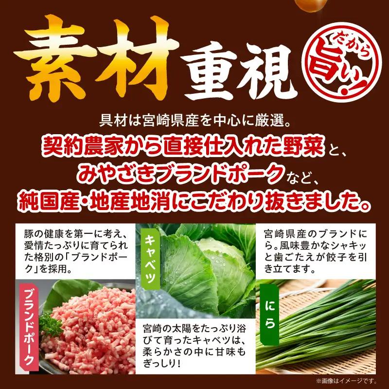 【簡易包装】屋台骨 宮崎餃子(60個×1袋) 餃子 ギョウザ ぎょうざ ブランドポーク 生餃子 屋台骨 簡易包装 レシピ同封 手仕込み