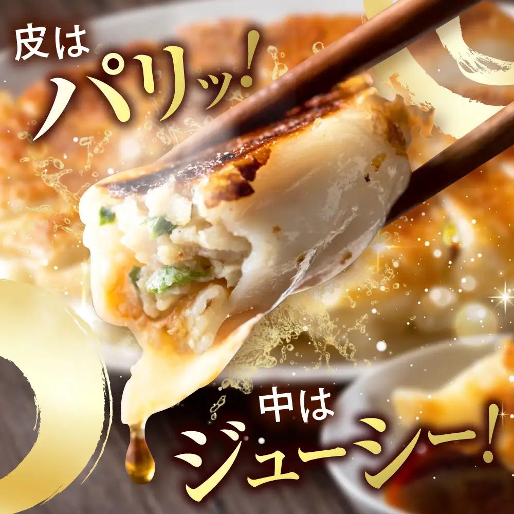 訳あり 本格 餃子 50個 餃子 [AKHQ001]