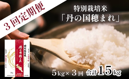 
            【定期便】 令和7年度産 新米 特別栽培米 コシヒカリ「丹の国穂まれ」 5kg×3回 毎月発送 合計15kg こしひかり お米 米 綾部 京都
          