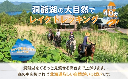北海道 レイクトレッキング＆Winterレイクトレッキング 約40分 乗馬 体験 ホース トレッキング 絶景 自然 貴重 体験 経験 景色 ふれあい 血統馬 初心者 本格的 のんびり お子様 大人 レ
