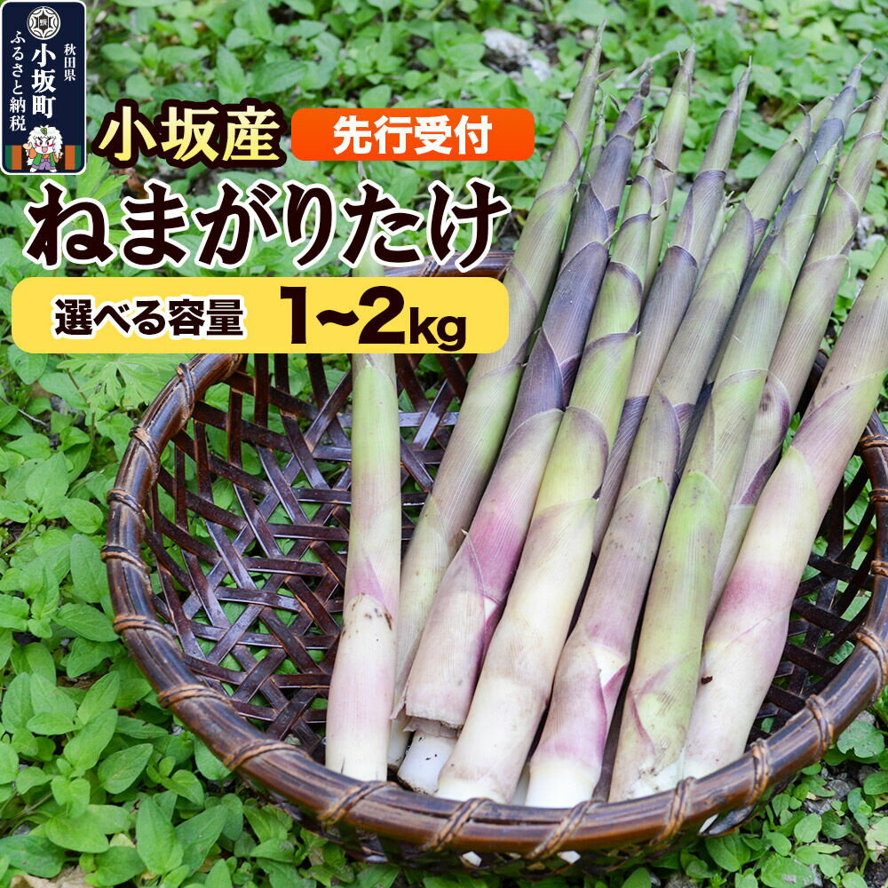 【ふるさと納税】《先行受付》小坂産 ねまがりだけ【選べる容量 1kg／2kg】 [根曲り竹 根曲がり竹 ねまがりだけ チシマザサ 春の味覚 山の幸 お味噌汁 炊き込みご飯 天ぷら 煮物]