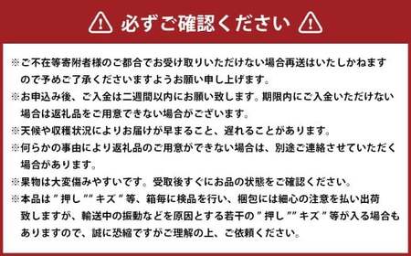 ぼっけえ大粒 ニューピオーネ 1房 （800g以上） 化粧箱入り 【2026年9月上旬～10月上旬迄発送予定／ 葡萄 ぶどう 果物 果実 フルーツ 種なし 大粒 岡山県 美咲町 冷蔵