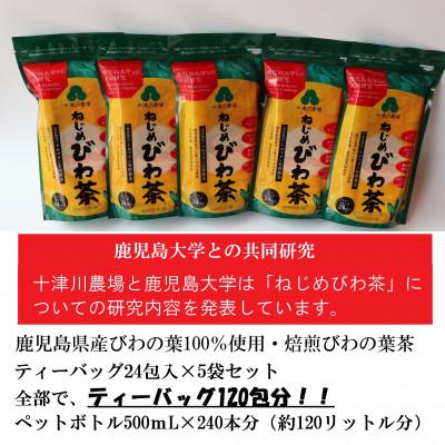 ふるさと納税 南大隅町 『ねじめびわ茶24』ティーバッグ【5袋】　ノンカフェイン