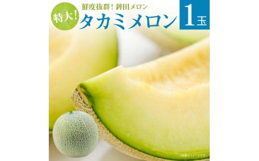 メロン めろん 特大【タカミメロン】緑肉　1玉入り（3kg以上） ギフト 鉾田 果物 人気 おすすめ 贈答 茨城 お返し 先行予約 スイーツ 送料無料 味 茨城県 還元率 青肉 フルーツ めろん 鉾田市 デザート くだもの お取り寄せ 甘い ジューシー 期間限定