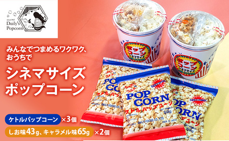 ポップコーンセット シネマサイズ ケトルポップコーン ポップコーンセット【シネマ2個 ケトル3個】