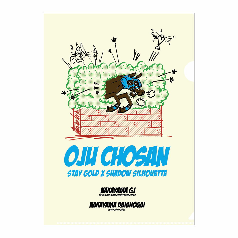 【ふるさと納税】【オジュウチョウサン】クリアファイル イラスト5枚入り【 ふるさと納税 人気 おすすめ ランキング 馬 競馬 競走馬 オジュウチョウサン 北海道 平取町 送料無料】 BRTV017