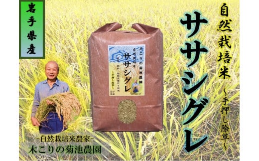 令和7年産予約受付【数量限定】木こりの菊池農園 自然栽培米【ササシグレ】10㎏ 玄米　新米 米 希少 ご飯 ごはん おにぎり お米 炊きたて 岩手県 北上市 I0040