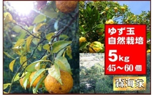 ゆず玉　5kgセット　期間限定 柑橘 ジューシー 自然栽培 国産 柚子　S165