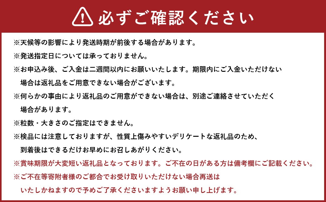 訳あり家庭用シャインマスカット