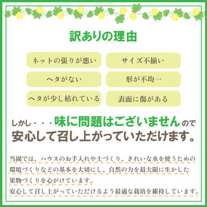 訳あり 貴味 メロン 約 6kg 以上 ( 2L ~ 6L ) ( 約 3玉 ~ 6玉 ) メロン メロン メロン メロン メロン メロン メロン メロン 