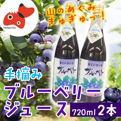 【ふるさと納税】【山の恵みぎゅっと!】手摘みブルーベリージュース　720ml 【2本セット】【1676091】