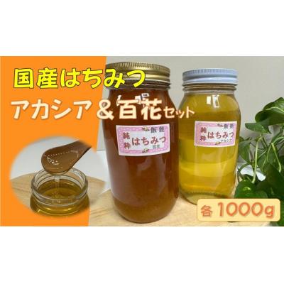 ふるさと納税 飯能市 国産はちみつ食べ比べセット(百花とアカシア)各1000g | 
