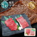 【ふるさと納税】 牛肉 奄美マザービーフ ヒレ ロース ステーキ 400g 鹿児島黒牛 マザービーフ カット 国産 内閣総理大臣賞受賞 お取り寄せ お取り寄せグルメ 鹿児島県 奄美市 送料無料 食品