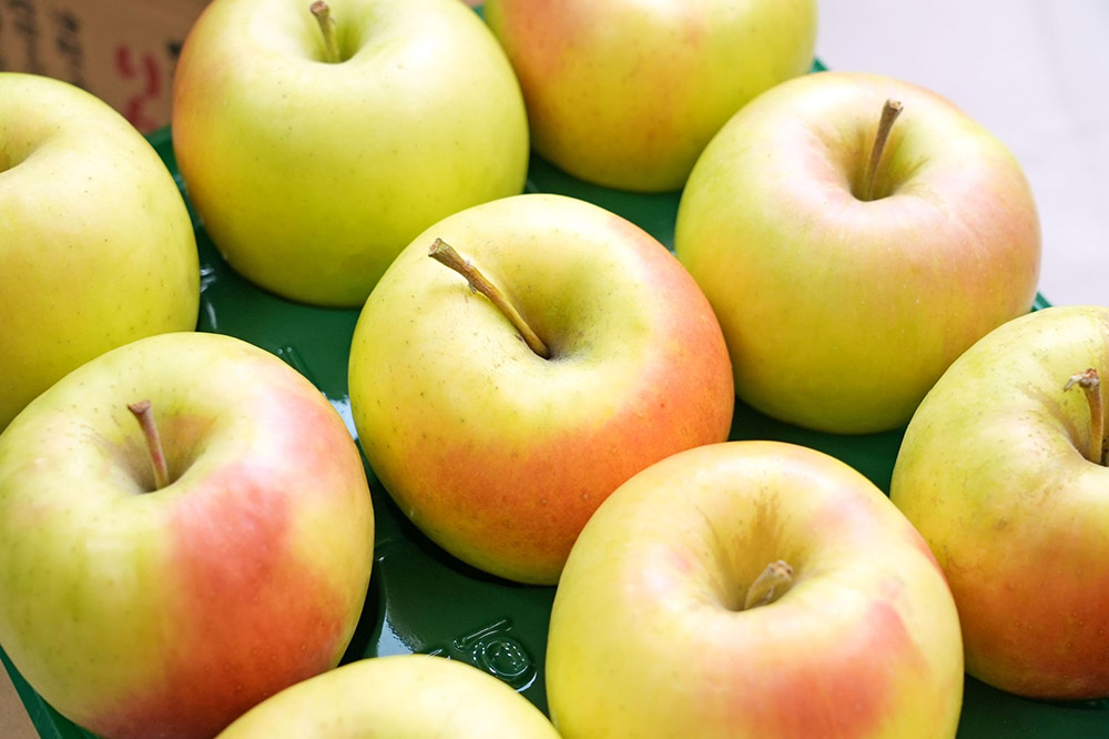 【26年1月発送】りんご 平均糖度13度以上！ ぐんま名月 約10kg 訳あり 青森 果物 フルーツ 林檎 リンゴ くだもの 不揃い 規格外