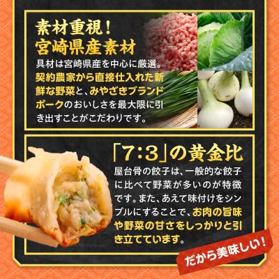 ふるさと納税 宮崎市 【簡易包装】屋台骨 宮崎餃子 60個×3袋 |  | 02