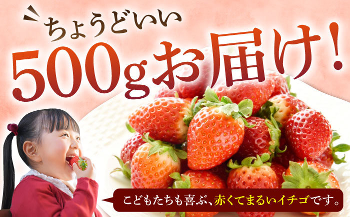【贈答用】ゆめのか 250g×2パック 《壱岐市》【Strawberry Gang】 [JEM005] セット いちご イチゴ 苺 果物 フルーツ スムージー プレゼント ギフト 9000 9000円