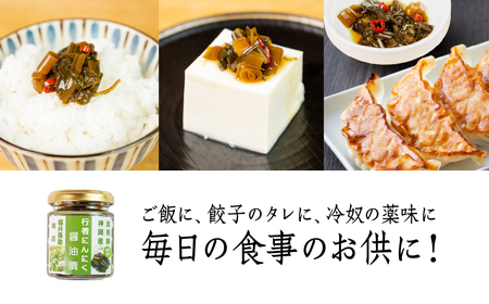 【先行予約】5月下旬～1月中旬発送 行者ニンニクだし醤油漬け 5個 瓶詰 瓶詰め おつまみ おかず ご飯のお供 惣菜 [Q2799]