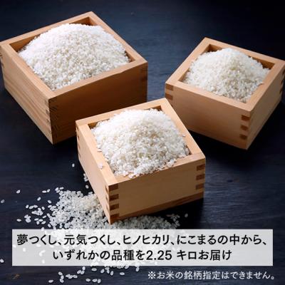 ふるさと納税 新宮町 立花山で育てた九州のブランド米・2.25キロ【一升五合(いっしょうはんじょう)】.A1604 |  | 01