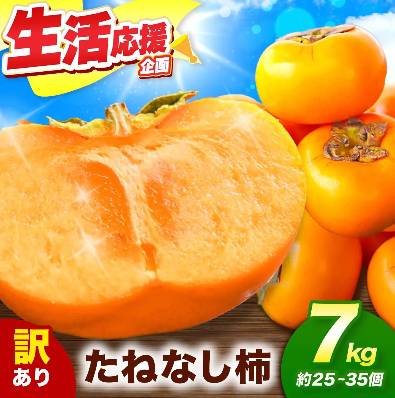   【 先行予約 】訳あり たねなし柿 約7kg （ 25～35個 ) 大人気  | 奈良県 五條市