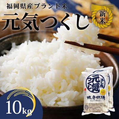 ふるさと納税 赤村 新米!!令和7年産 福岡県産米 元気つくし 合計10kg(5kg×2袋)(赤村)