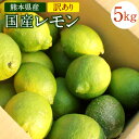 【ふるさと納税】国産レモン 訳あり 約5kg 県認証特別栽培 熊本県産 レモン れもん 檸檬 レモン果汁 ご家庭用 傷あり フードロス 料理 柑橘類 九州産 国産 防腐剤・ワックス不使用 送料無料【2025年6月上旬迄発送予定】