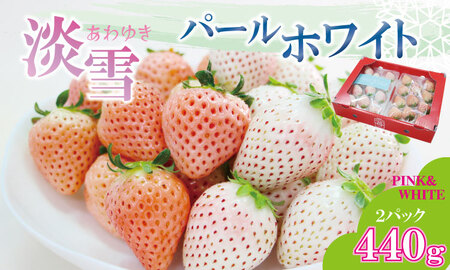 淡雪＆パールホワイト（各１パック）220g×2（合計440g）農家直送 水田苺園　農家 直送品 果物 くだもの フルーツ 人気 ランキング 高評価 苺 イチゴ  B140-038