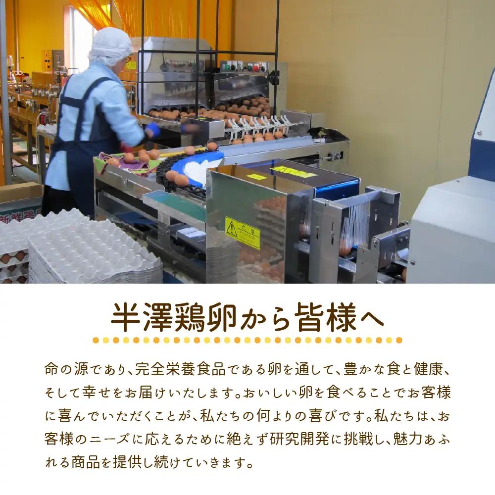 いではのもみじ紅25個入り（破損補償3個を含む）
