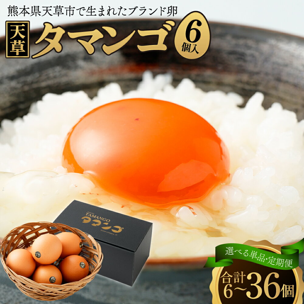 【ふるさと納税】＜選べる単品・定期便＞熊本県天草市で生まれたブランド卵「天草タマンゴ」 化粧箱入 1個あたり（64g～70g） 1回あたり6個入 1ヶ月毎 3回 6回 生卵 卵 たまご タマゴ 冷蔵 熊本県産 国産 九州 熊本県 送料無料
