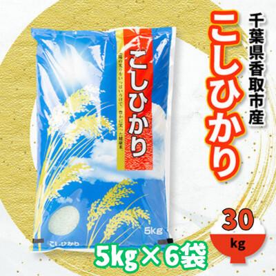 ふるさと納税 香取市 千葉県香取市産100%コシヒカリ30kg(5kg×6袋)