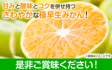 YN26 極早生 みかん 約 5kg（2S～Mサイズおまかせ）《2024年9月中旬-10月末頃出荷》和歌山県 日高川町 フルーツ 果物 極早生 厳選館