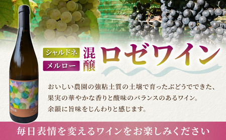 【おいしい農園】ロゼワイン「御牧原504」1本　ワインワインワインワインワインワインワインワイン