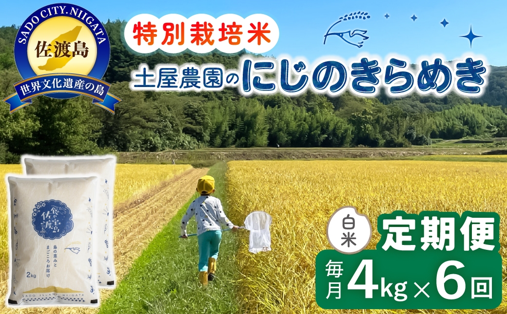 
                  【定期便 令和8年産新米 6か月】 佐渡島産にじのきらめき 白米 4Kg(2kg×2袋） 令和8年産新米 特別栽培米 土屋農園 | 新潟県産にじのきらめき 佐渡産にじのきらめき にじのきらめき お米 米 白米 精米 おこめ コメ 4キロ にいがた さど 新潟県 佐渡市 195962-3512
                