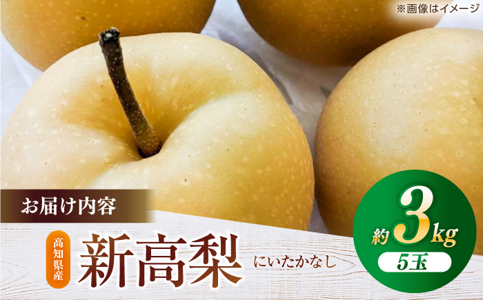 【先行予約】 新高梨 約3kg（4～5玉） 〈2025年9月20日～10月末発送〉 / 高知 針木 新高梨 梨 和梨 果物 フルーツ デザート 【川渕果樹園】 [ATHX002]