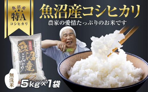 
                  DH02 「無洗米」 新潟県 魚沼産 コシヒカリ お米 5kg こしひかり 精米 米（お米の美味しい炊き方ガイド付き）
                