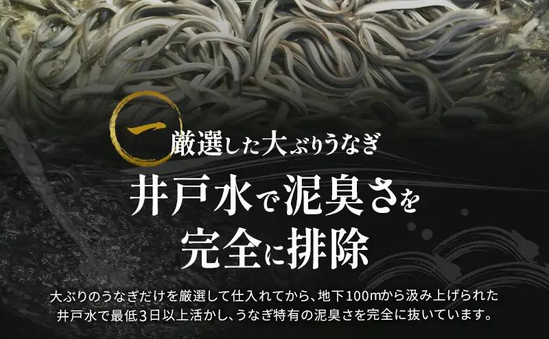 うなぎ 蒲焼 2尾 160g×2 タレ 75ml×1 山椒付 うなぎ